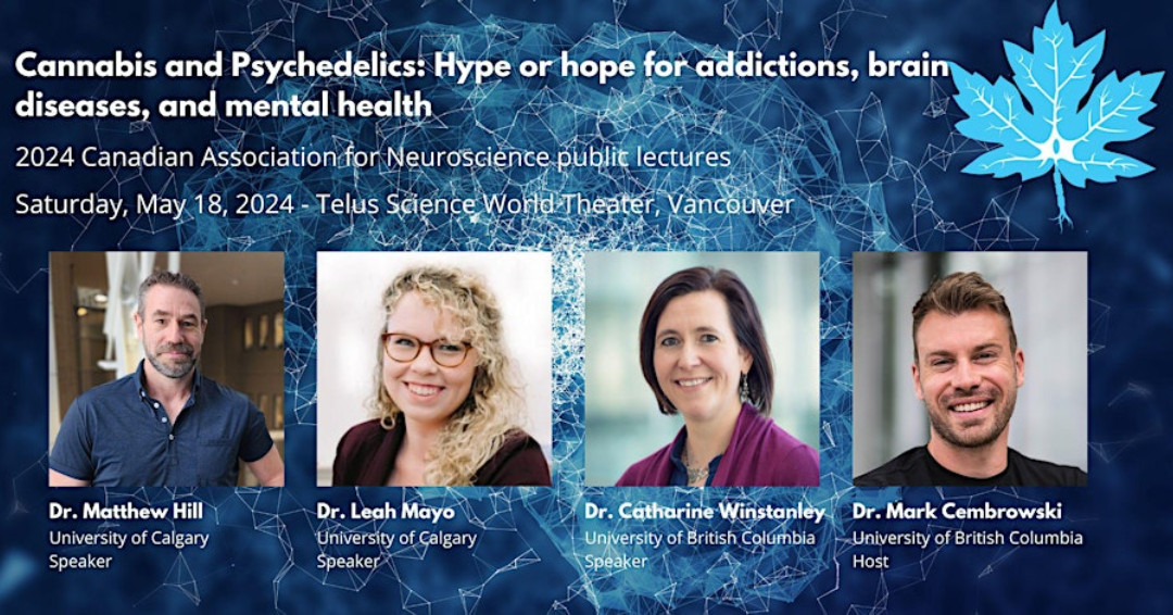 We are excited to host free public talks on the topic of Cannabis and Psychedelics: Hype or hope for addictions, brain diseases, and mental health, with @canna_brain @MayoOnTheBrain @winstanleylab host: @MarkCembrowski can-acn.org/meeting-2024/2… Join us in Vancouver on May 18