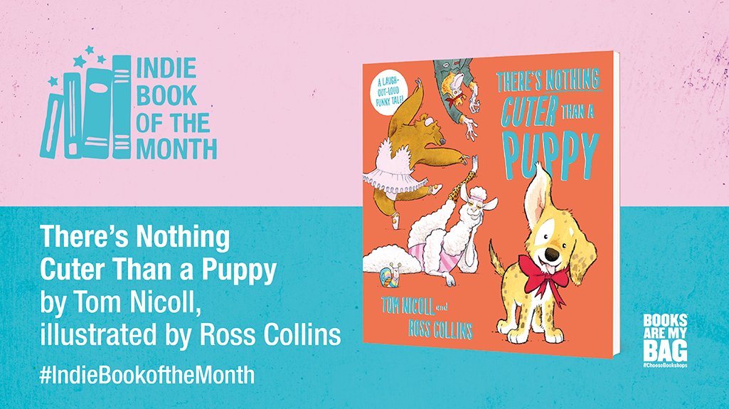 Donkeys in dungarees, walruses in woolly waistcoats, hyenas in hoop skirts. The Cutest Creature Contest is full of tough competition! But there can only be one winner and there's nothing cuter than a puppy! Or is there ...? #IndieBookoftheMonth @MacmillanKidsUK @TGNicoll
