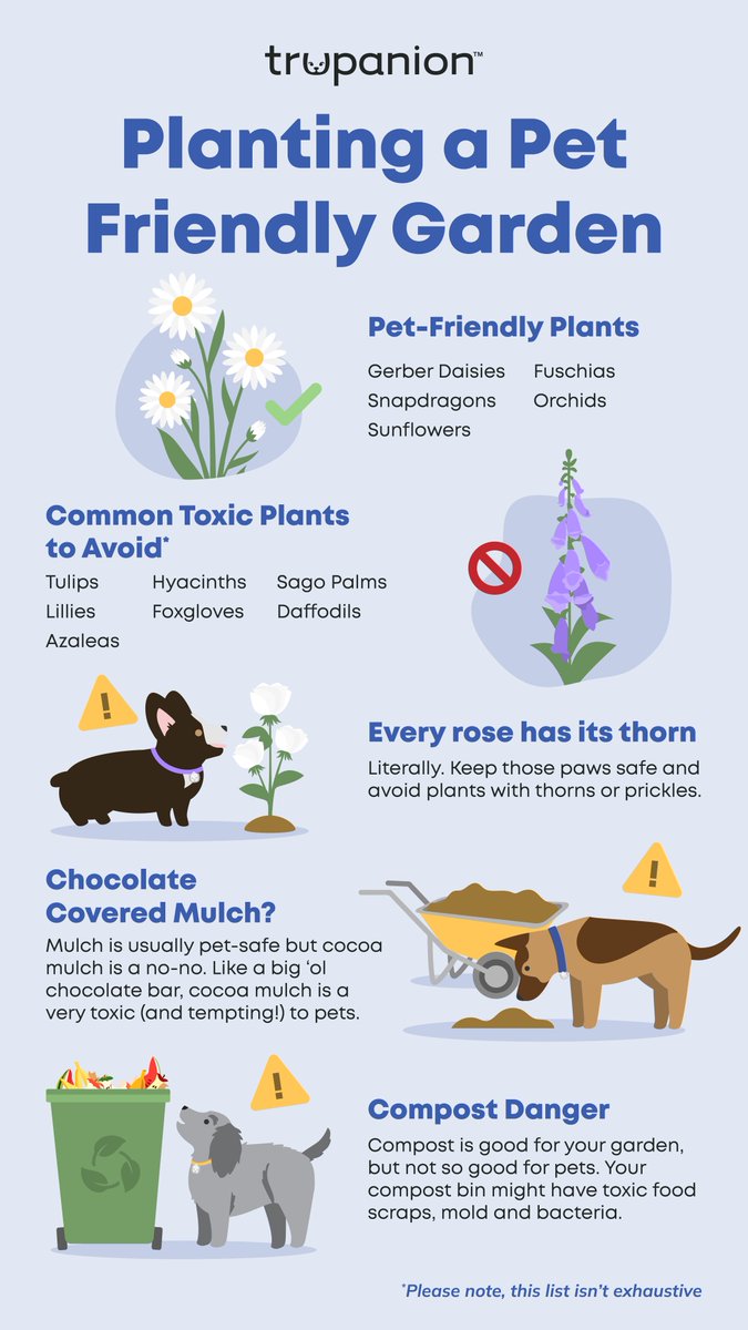 Keep these tips in mind when you plant your garden this year! 🌻🌼
