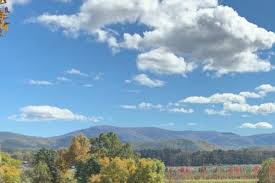 Spring in Rockbridge County Virginia
#rockbridgecounty #rockbridgecountyva #lexington #tourlife #tourist #Virginia #flowerlovers #pictures #springtime2024 #warmweather #lovespringtime #visit #visitva #Virginia #comunitysupport #blueridgeparkway #blueridgemountainsva