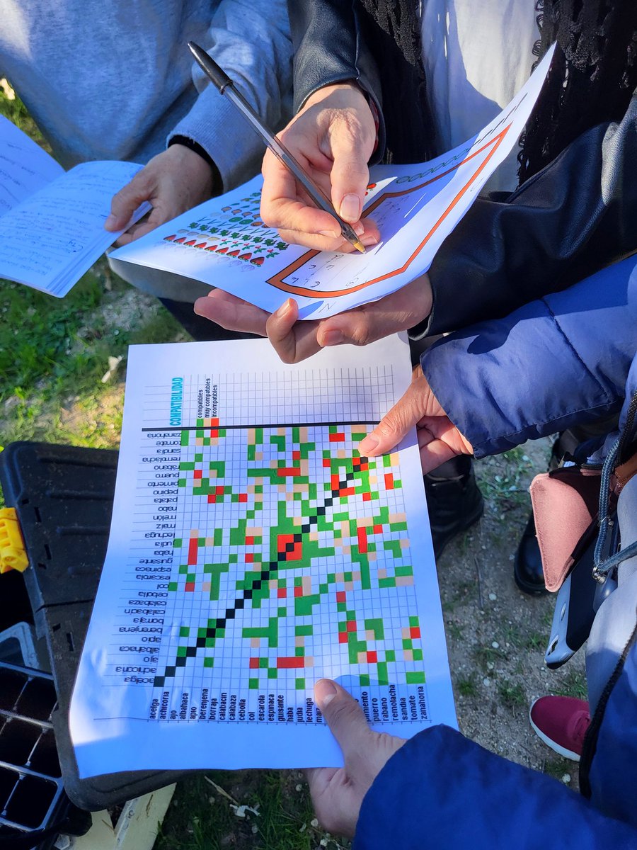 El <a href="/CEIPDELIBES/">CEIP MIGUEL DELIBES</a> nos muestra sus espacios renaturalizados y nos cede su espacio para aprender a crear nuestro propio huerto🥬  con <a href="/ErdeGEA/">Erde Gestión Y Educación Ambiental</a>. Analizamos textura de suelo, pH... Y planificamos la plantación en terreno. Preparados para comenzar/mejorar nuestro huerto <a href="/cfievalladolid/">CFIE VALLADOLID</a>