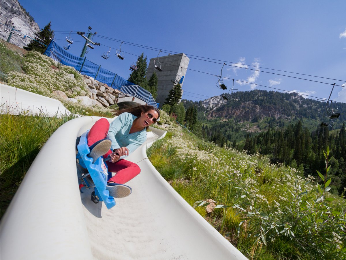 When you register for Summer Forum, you get a 15% discount on Snowbird’s All Day Activity Pass! Register now: aarc.org/aarc-meetings/…