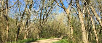 Spring in Rockbridge County Virginia
#rockbridgecounty #rockbridgecountyva #lexington #tourlife #tourist #Virginia #flowerlovers #pictures #springtime2024 #warmweather #lovespringtime #visit #visitva #Virginia #comunitysupport #blueridgeparkway #blueridgemountainsva