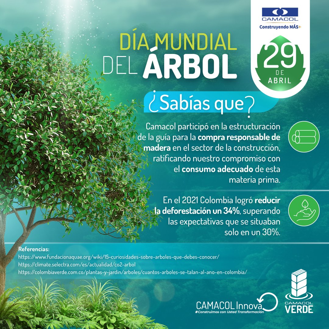En el #DíaMundialDelÁrbol, celebramos la naturaleza como aliada en la construcción de un futuro sostenible. Estamos comprometidos con preservar estos pilares de vida. ¡Únete a nosotros en la tarea de sembrar conciencia y hacer crecer un mundo más verde! 🌳💚 #DíaMundialDelÁrbol