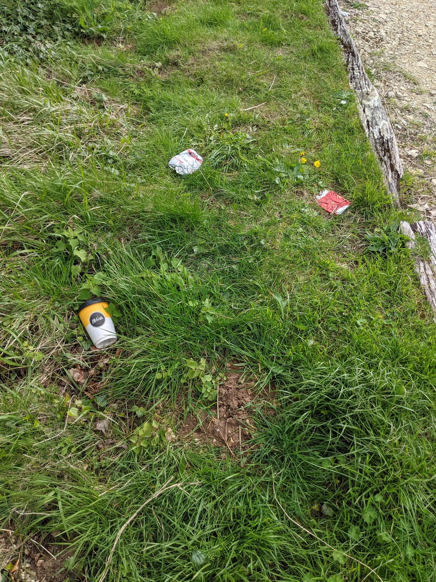 Sun, views & #litter for me as I was passing #CoaleyPeakViewingPoint #Gloucestershire again. All the usual culprits picked up #plastics @McDonaldsUK stuff, #alcohol #condoms & #Wetwipes from this scenic but #ASB #dogging hotspot. 309 litter items @StroudDC @gloswildlife