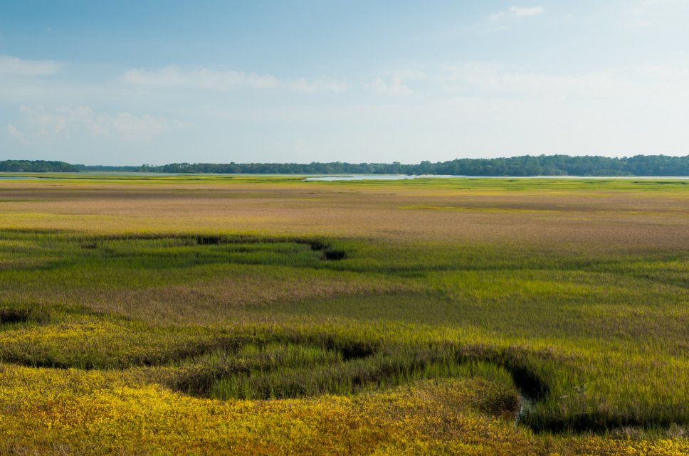 DYK? Rising sea levels increasingly threaten coastal communities but restoring wetlands boosts resilience. Check out our interactive website to learn about our restoration efforts: storymaps.arcgis.com/stories/e4d0f6…