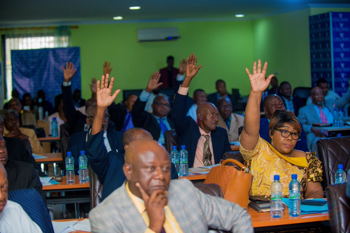 « Suggestions du Conseil Economique et social/RDC sur la matérialisation de la vision politique du Chef de l’Etat exprimée dans son discours d’investiture en programme de gouvernement. »  Thématique au centre des échanges au cours de la séance plénière de ce mercredi 17 avril