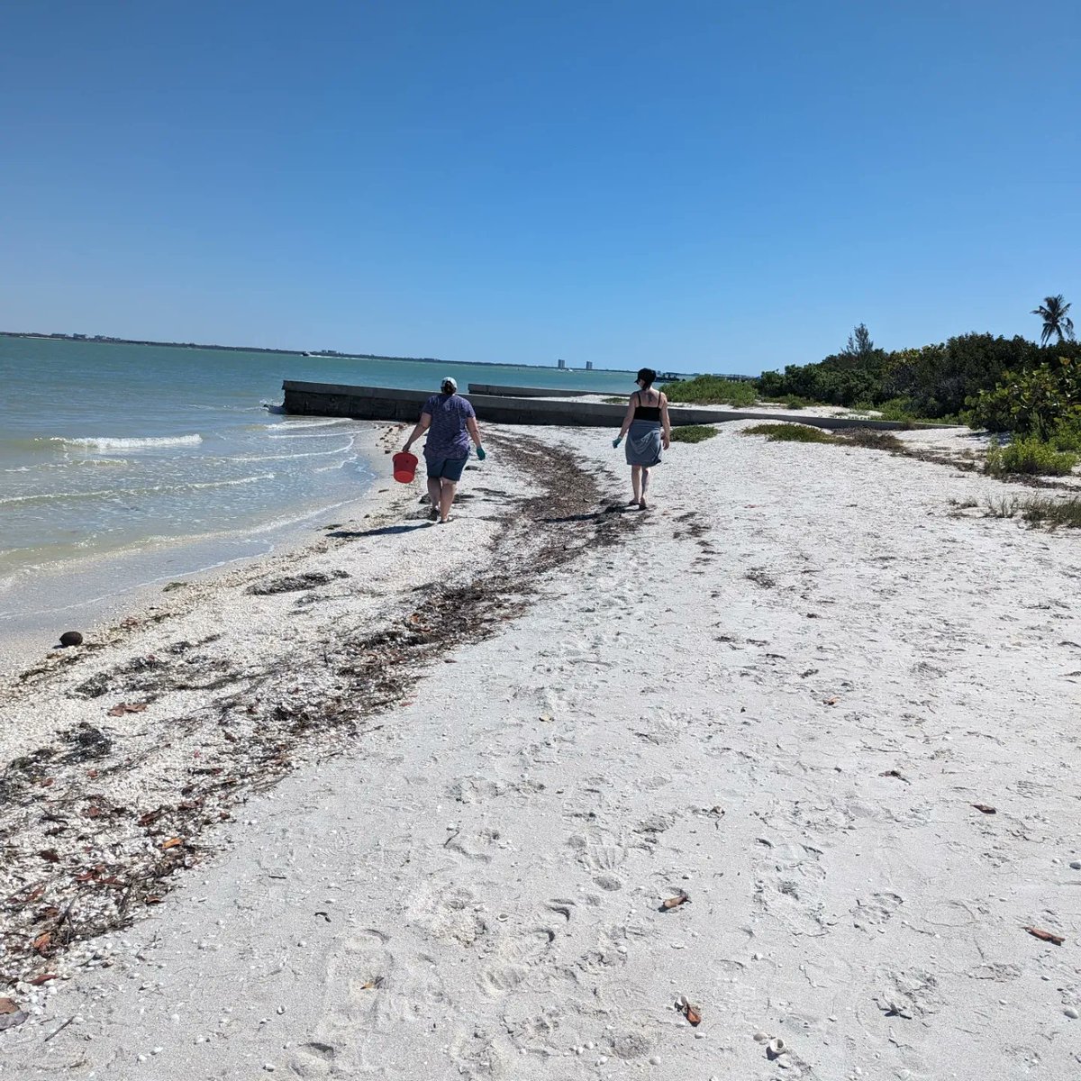 crferrie's tweet image. We sure are! #BeBetter! #vechain #sustainableactions @cleanify_vet