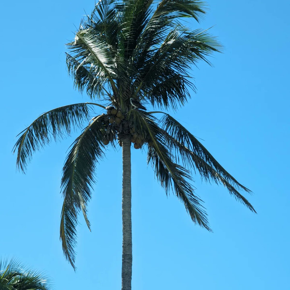 crferrie's tweet image. We sure are! #BeBetter! #vechain #sustainableactions @cleanify_vet