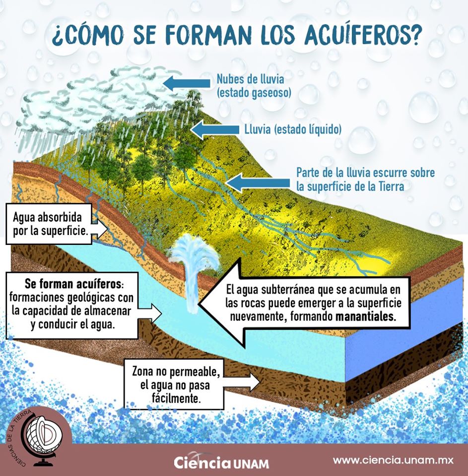 Consejo Consultivo tweet media