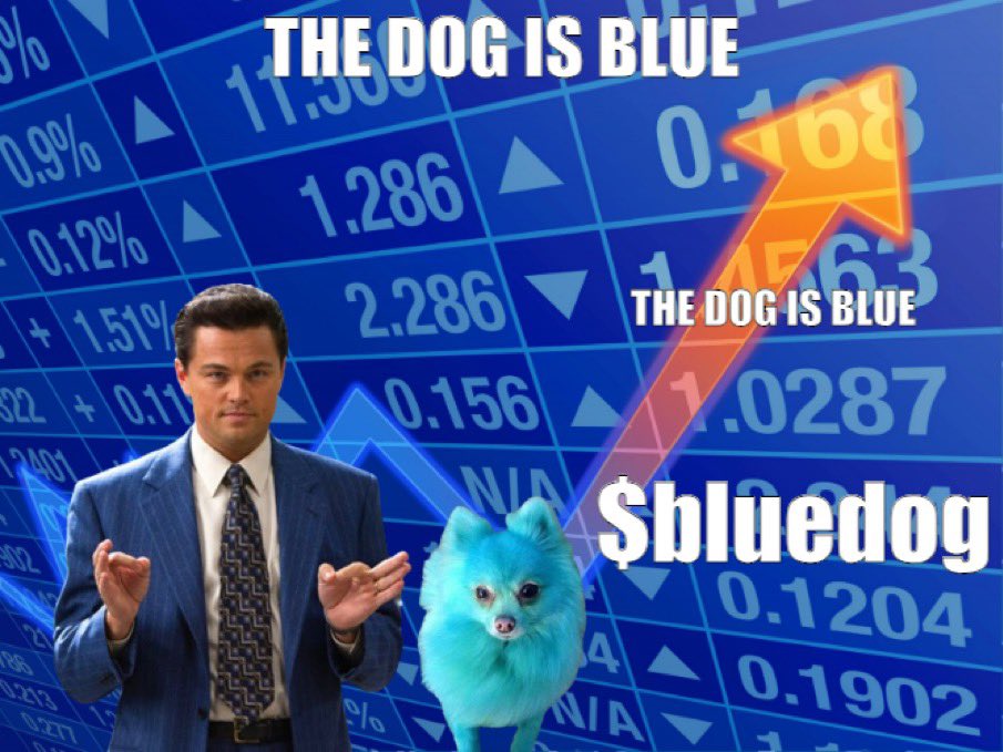 BlueDog tweet media