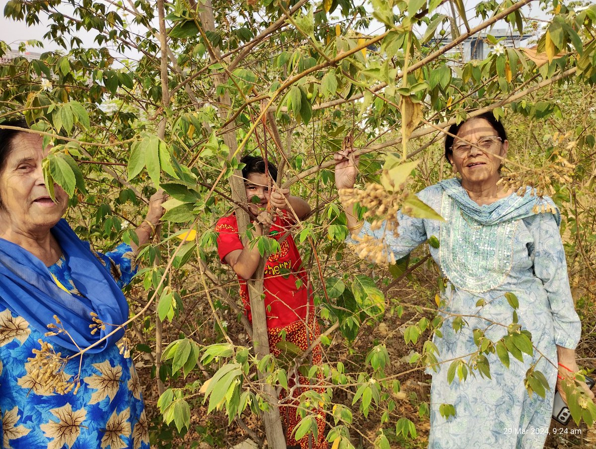 Kumar uncle - Anandvan tweet media