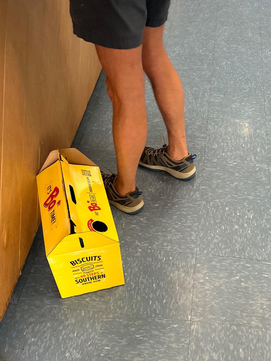 TheLeaIsabelle's tweet photo. At the vet this weekend, a man — transporting his cat in a Bojangles box — was loudly arguing that it was impossible his female cat was pregnant bc he didn’t own a male cat.

The very patient employee: “Sir, there are babies in her uterus. I’m not sure what else to tell you.” 😂 https://t.co/FI37Ya161y