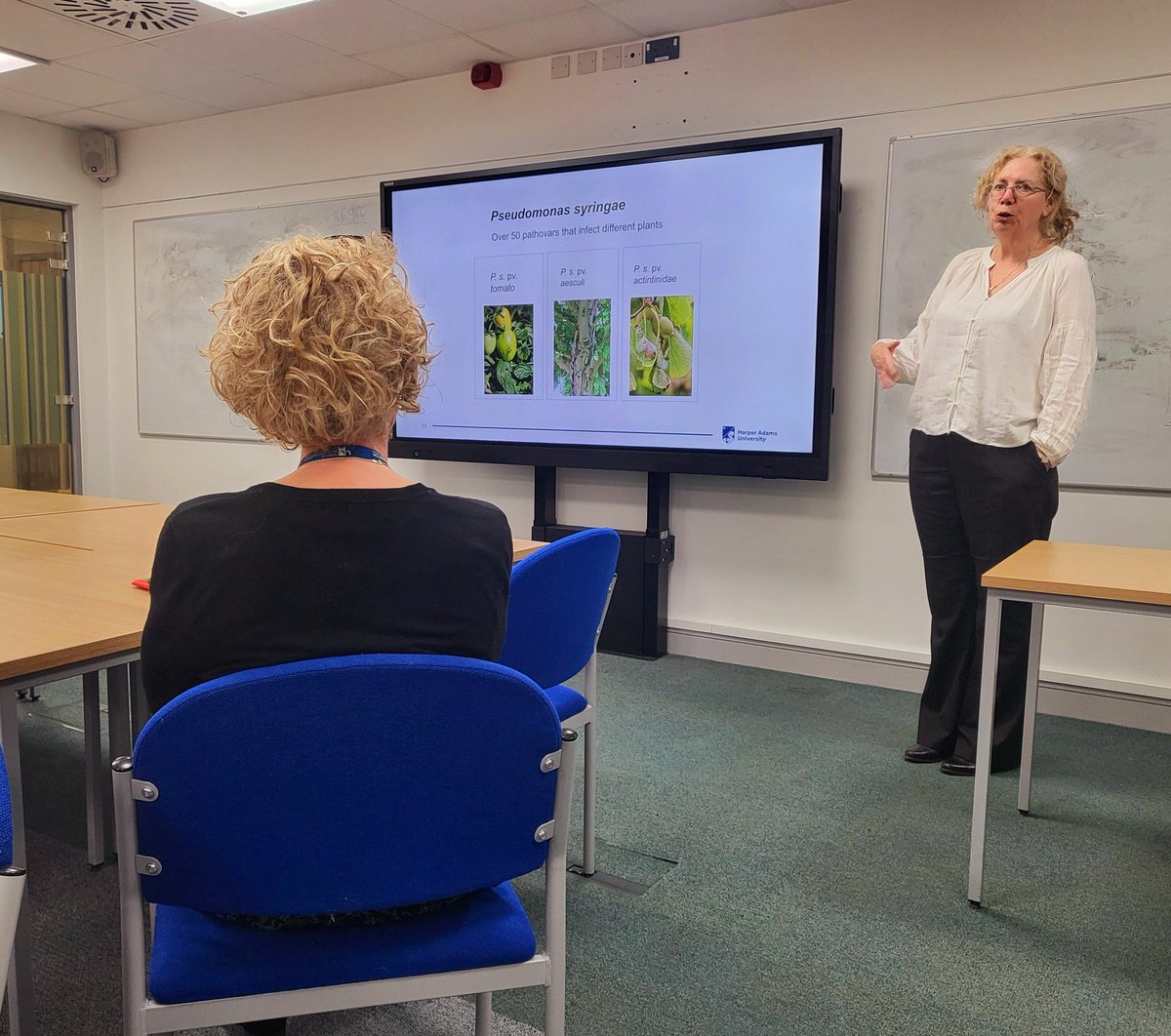 Inspiring research seminar by alumna @dawn2_arnold on their career journey in plant pathogeny and work on molecular plant-microbe interactions. Another great RIF4 Biosciences Research Project event @WLVsci_eng @wlv_uni!