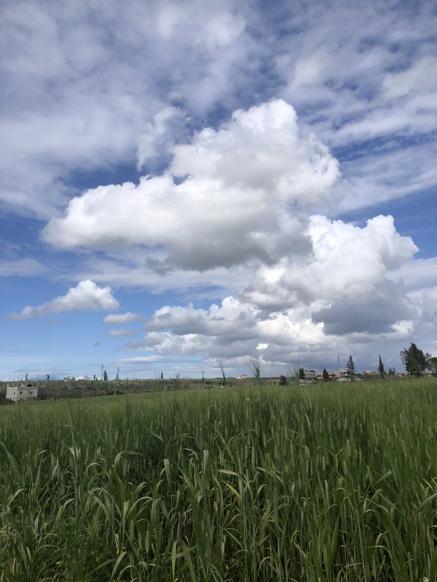 Pictures of the day! 
☘️🌾🍃🌳