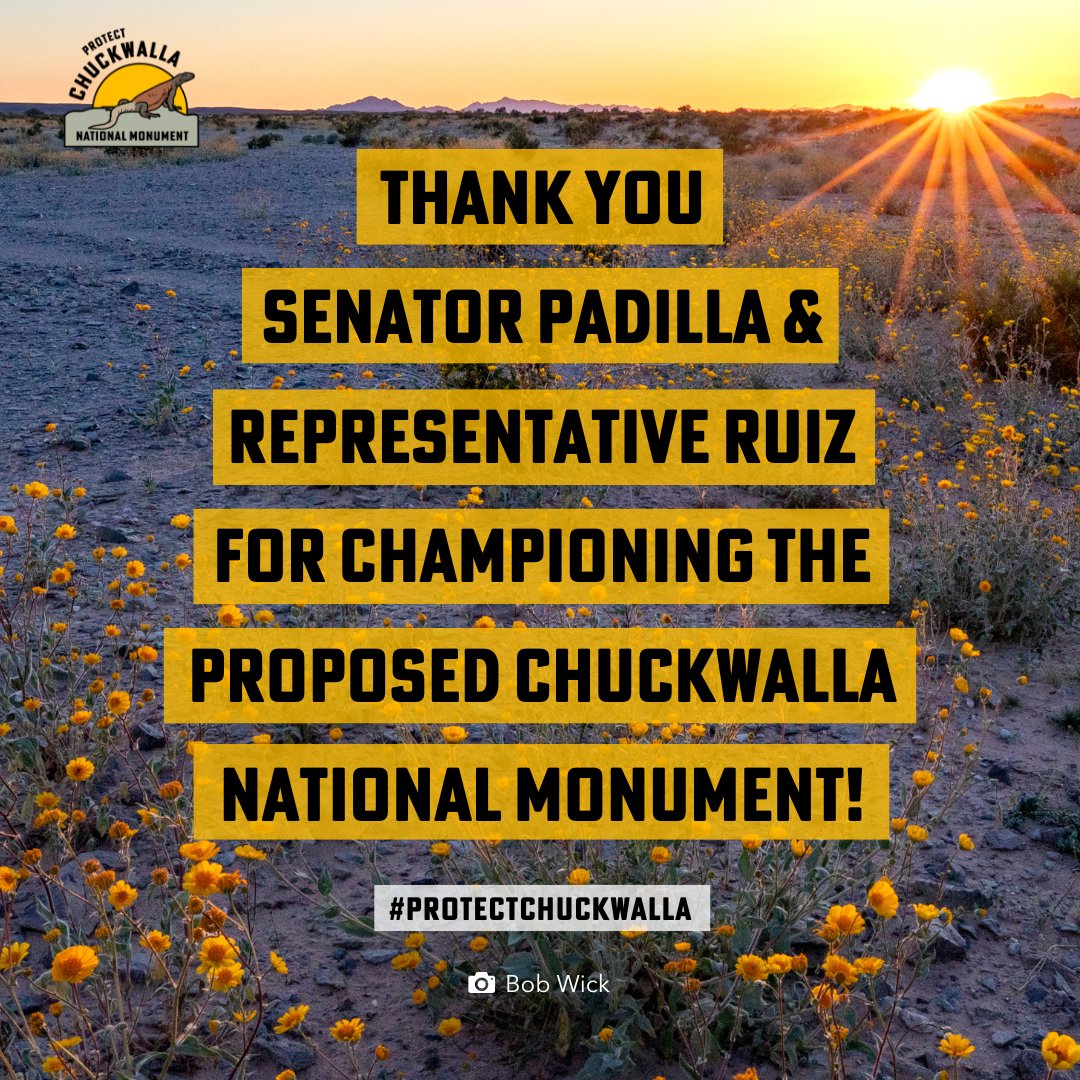 Thank you, @SenAlexPadilla & @RepRaulRuizMD for your call to @POTUS to designate a new Chuckwalla National Monument in the California Desert! Let's ensure access to nature, protect desert wildlife, and honor Tribal cultural heritage. #ProtectChuckwalla bit.ly/ProtectChuckwa…