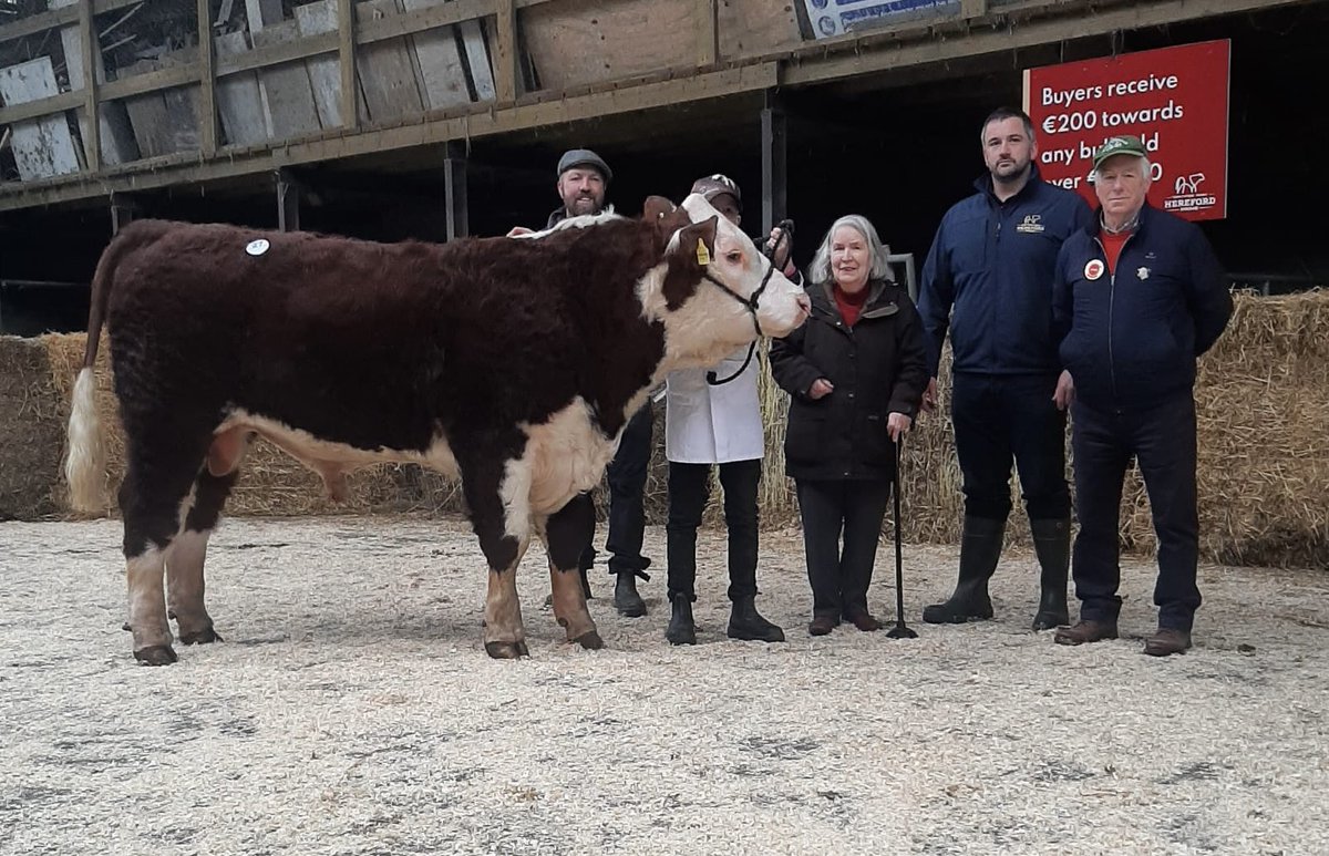 The winner of the West Cork Hereford Breeders Club raffle was Philip Daunt! Philip won the second youngest bull in the sale (by choice) Appel 1 Justice! Well done to the branch for organising this initiative, congratulations to Philip Daunt and well done to the Appelbe family!