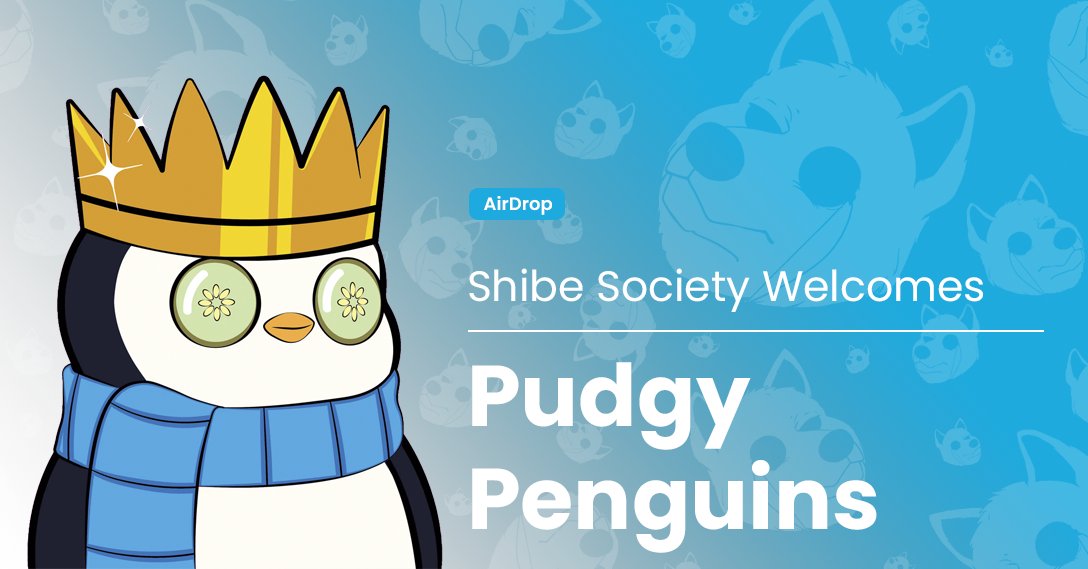🐧Our frosty frens and degens holding 10+ #PudgyPenguins NFTs just received both of their airdrops!❄️