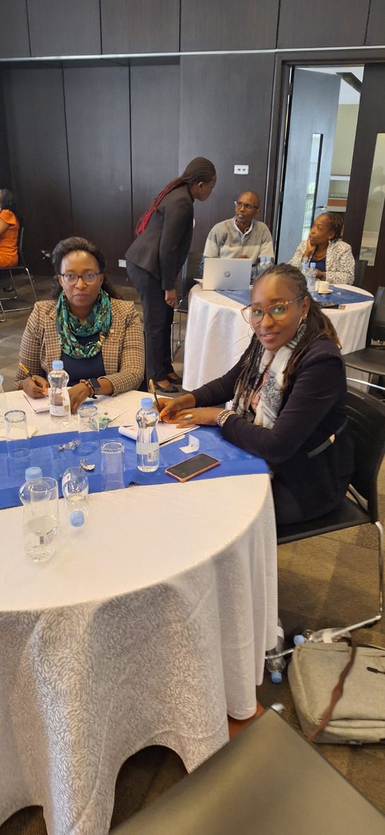 ISSUP Kenya was represented at an Alternative to Incarceration (ATI) steering committee meeting sponsored by UNODC by Jacqueline Anundo and Jane Ndungu. Discussed was ATI priority activities for 2024 presented by Boniface Wilunda (UNODC) & reports on the pilot ATI activities.