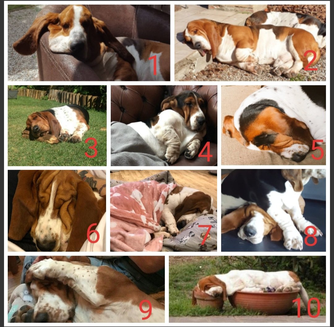 Annaaa85 tweet media