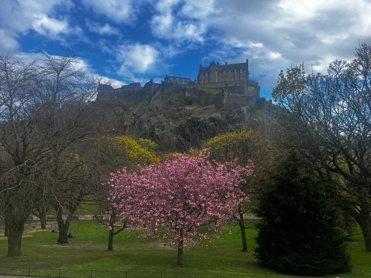 Beautiful Day 1 at #SBNSEdinburgh2024 Today’s take home…can we make ALL Hospital services more efficient and green? What simple steps do we need to take? Thanks for an interesting talk @RoseIngleton #rcslt #Greenerbarts #RLHNeurosurgery