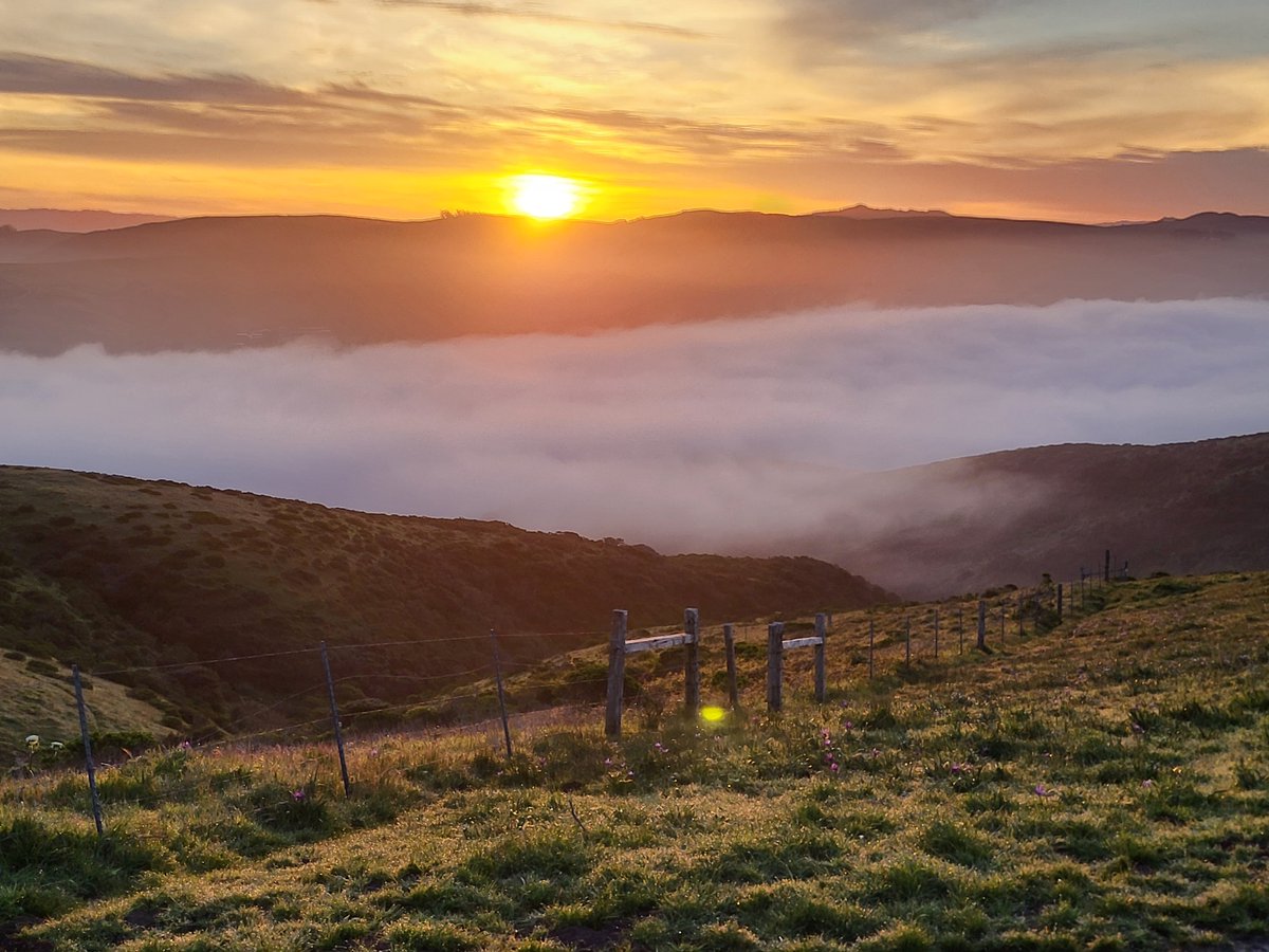 Going to be a pretty nice (and warm) day in West Marin. Daniel Dietrich captured the fog going and the sun coming this morning in Point Reyes.