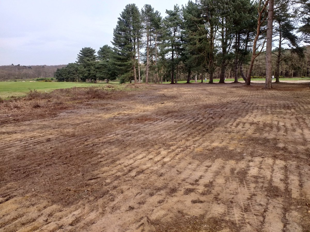 Aaron Bowen tweet media