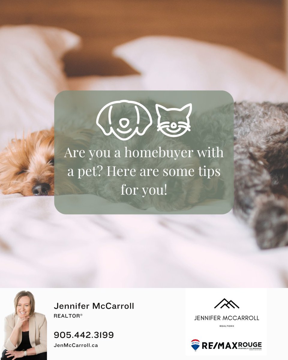 Here are the most important features of a home that pet lovers look for:

1) A fenced backyard
2) Laminate flooring
3) A place to hide the litter box
4) A nearby walking path
5) A spot to put the dog's kennel
6) A dog park

#petlover #petlovers #dogs