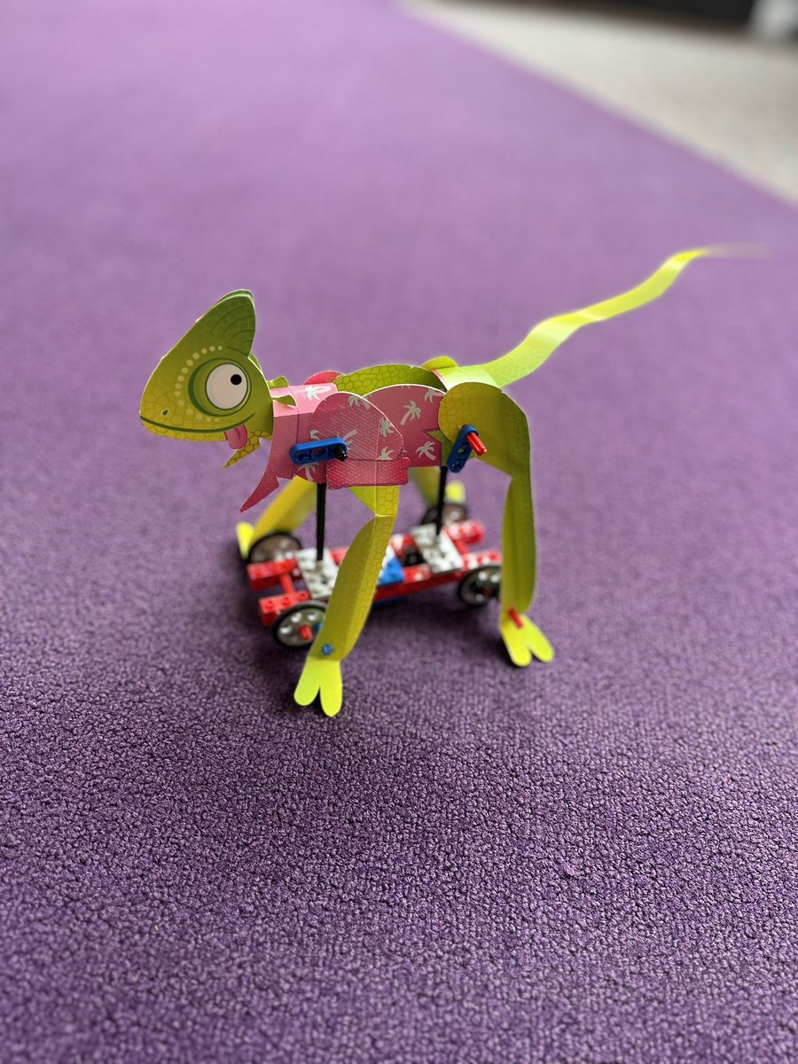 Sandra N tweet media