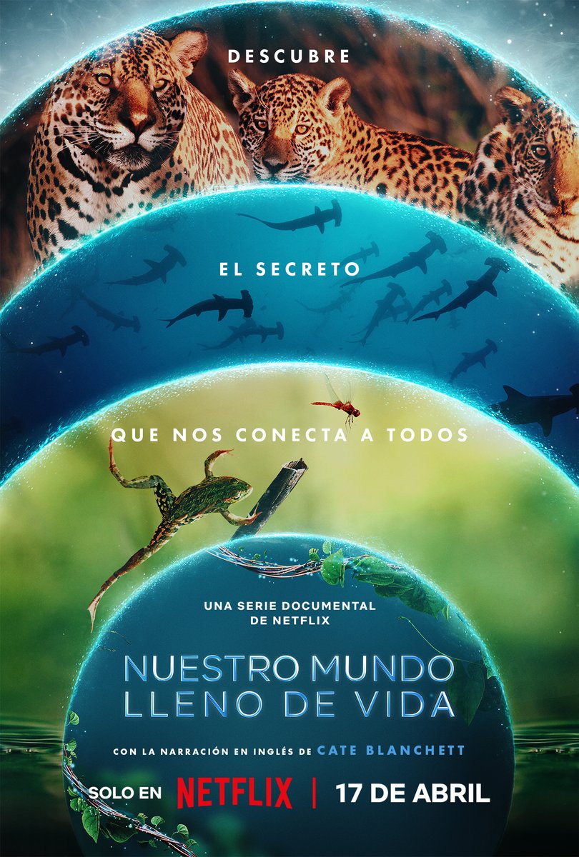 Sabemos que el mundo está conectado, pero por primera vez revelaremos cómo. Esta es la maravillosa historia de 'Nuestro mundo lleno de vida'. Ya disponible. 🐸🌱
