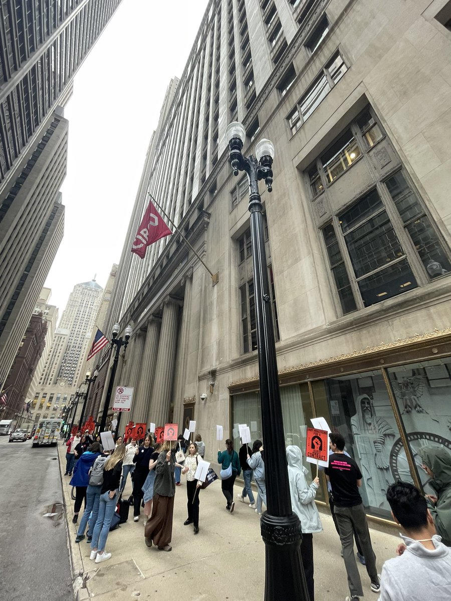 bebo, chicago rat czar 🐀 tweet media