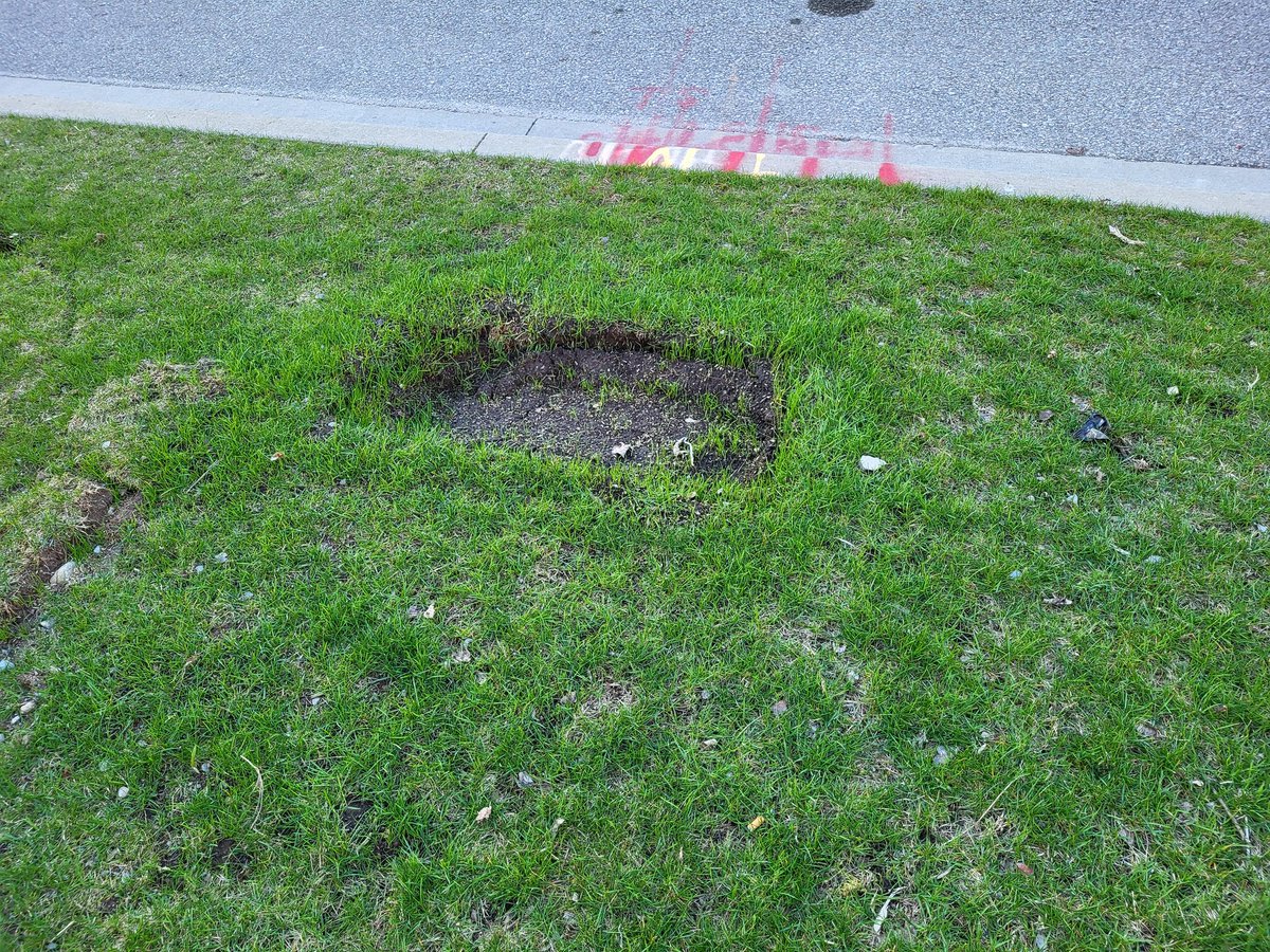 bucky310 tweet media