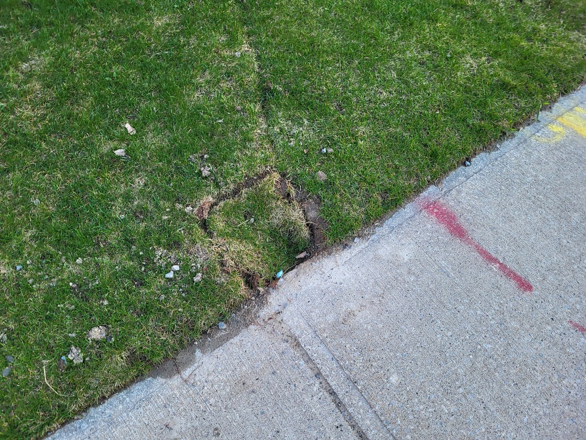 bucky310 tweet media