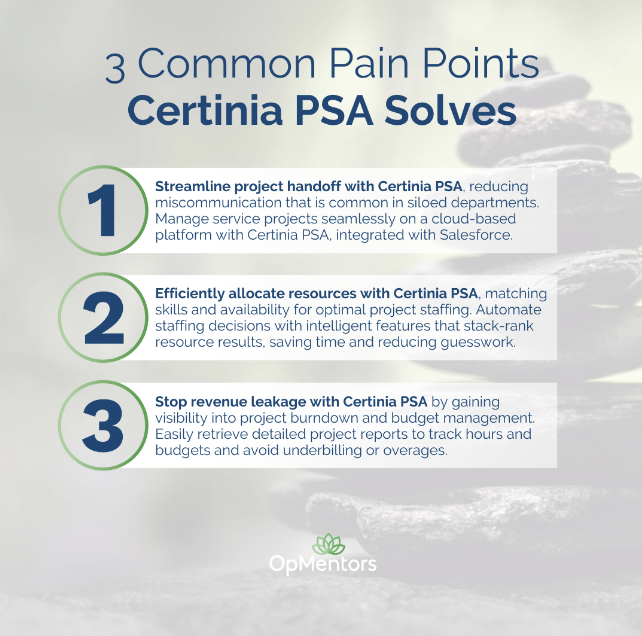 OpMentors's tweet photo. Crush project challenges with @CertiniaInc PSA! Tackle inefficient project handoff, resource management, and revenue leakage. Boost your project success today! 🚀 #ProjectManagement #ResourceAllocation #BusinessEfficiency https://t.co/RNDMcP2h3s