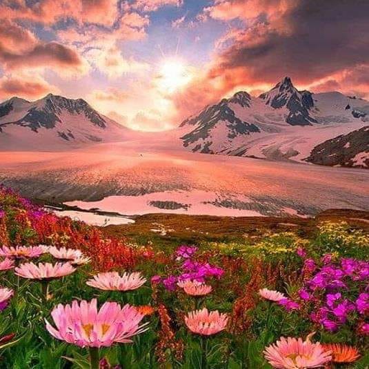 Sunset in Alaska 💜🩷💛🌿