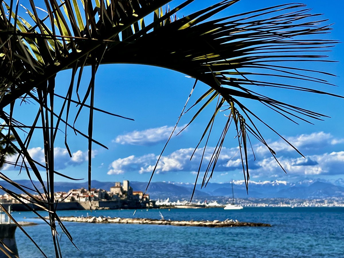 🌴𝔹onne soirée à toutes et à tous depuis #Antibes #CotedAzurFrance