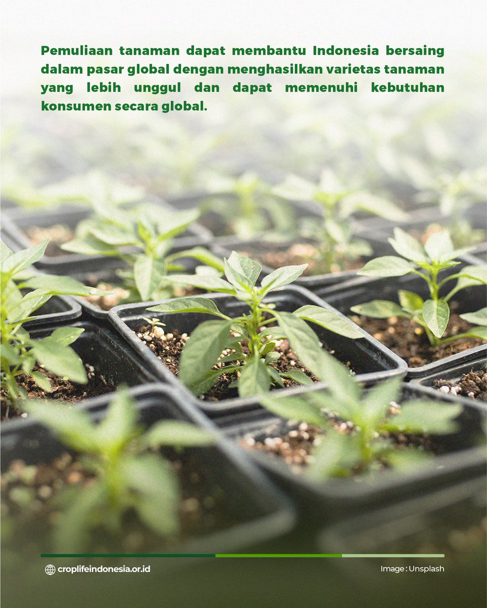 CropLifeIndo tweet picture