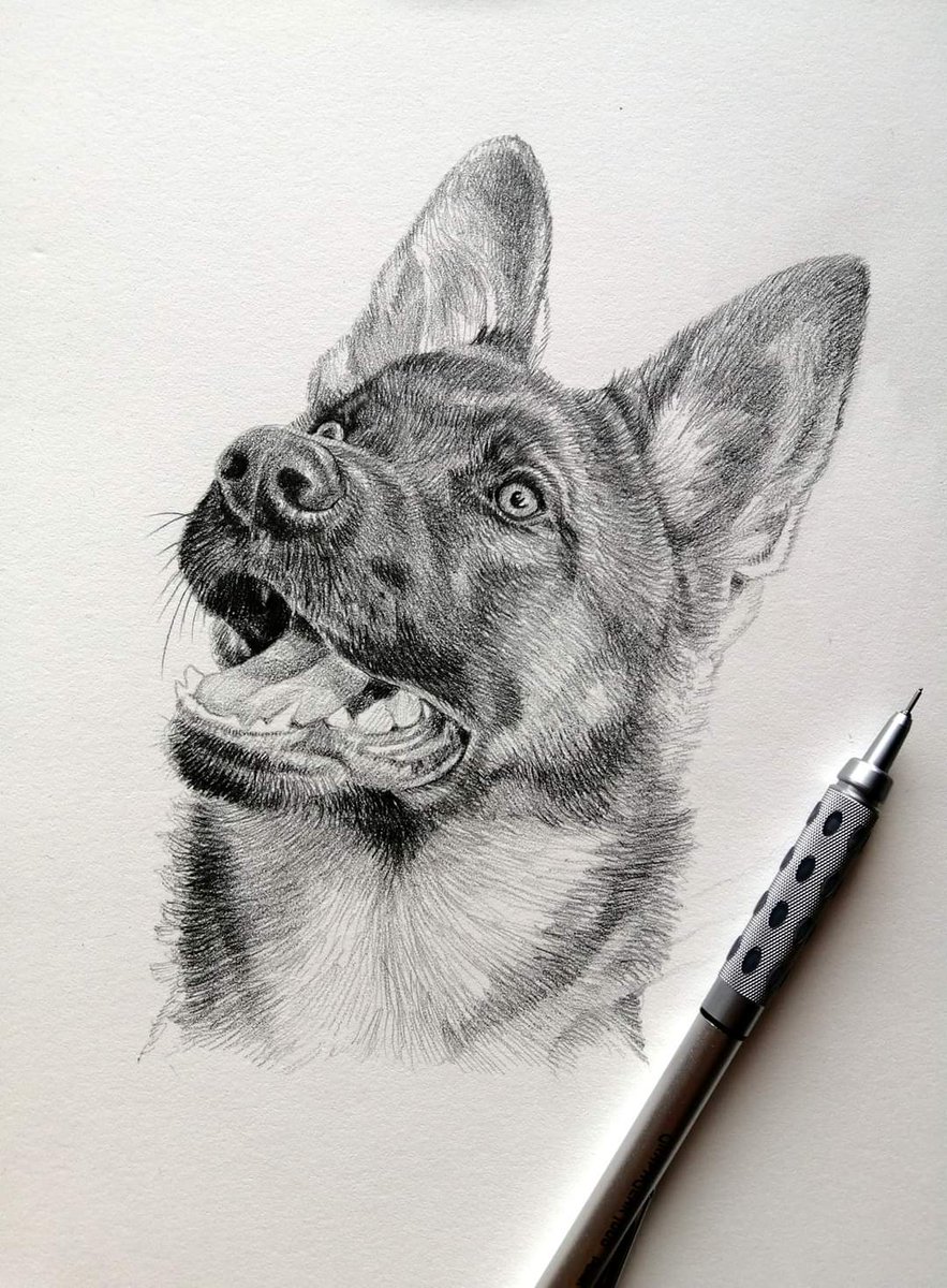 srh_sue's tweet image. Can't share my latest project for the moment so sketchbook it is. 💛
#drawing #art #sketchbook