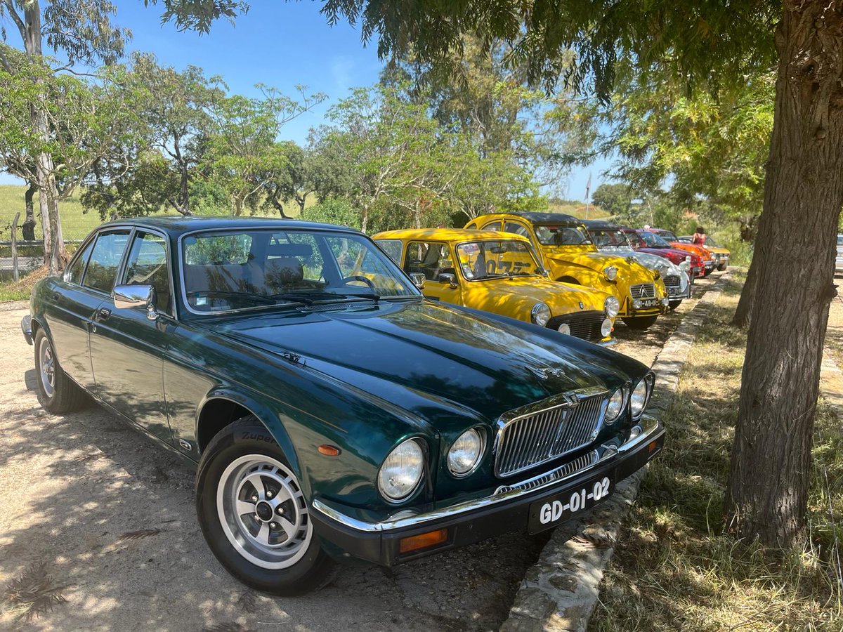HerdadeFozdaRep's tweet photo. More views of our Event with Oldtimers
Just Enjoy
#Oldtimers #Events #Mértola #Alentejo #Beja #Herdade #Portugal https://t.co/0zSwdoheY6