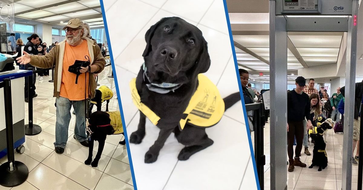 National Puppy Day might have been last week, but this is a great story no matter the day. I encourage you to read about #TeamTSA & their partnership with @GuideDogFdn & @AmericasVetDogs as 24 puppies went through @TSA screening for the 1st time. tsa.gov/about/employee…