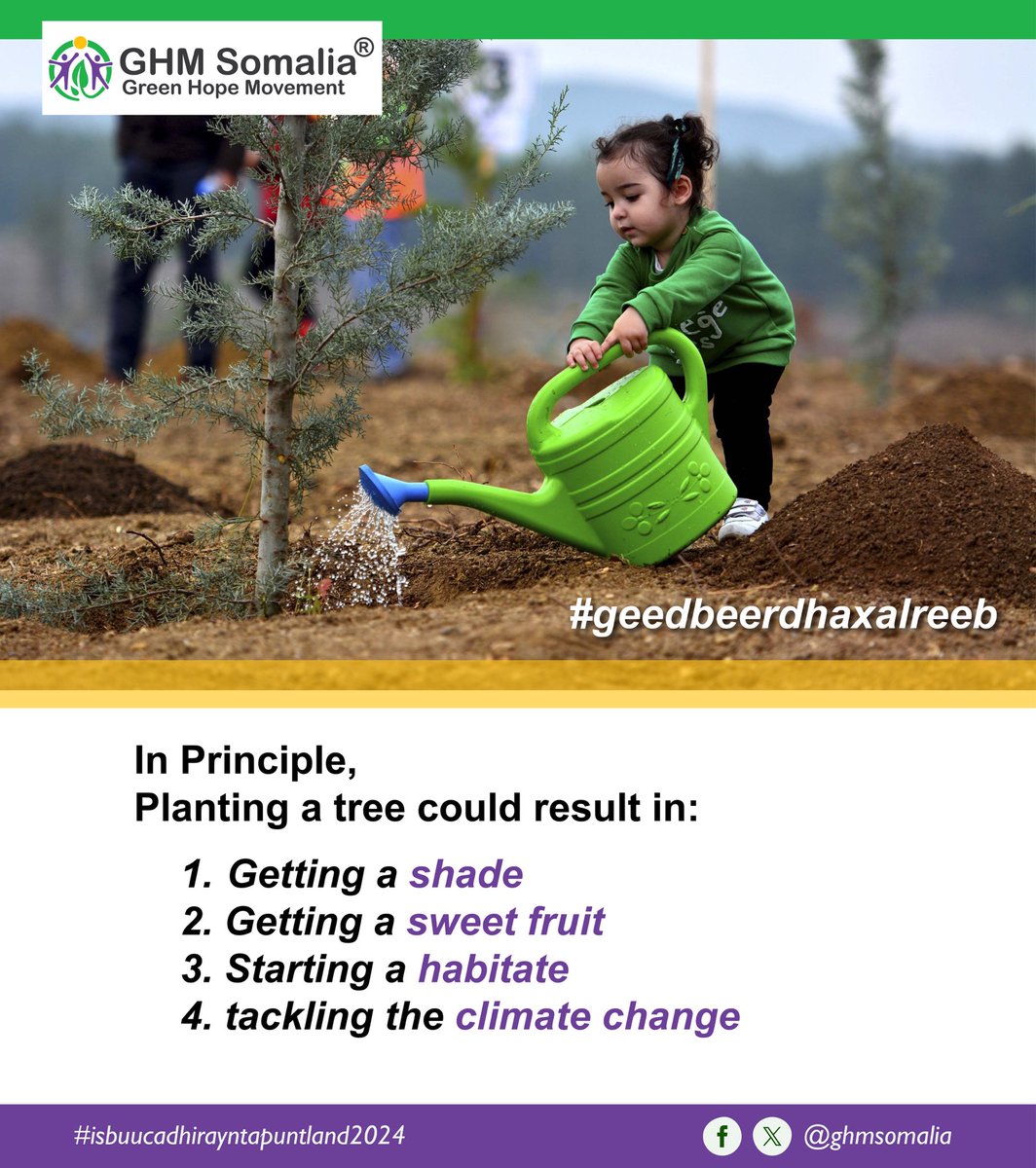 ghmsomalia's tweet photo. 🌳🌍 Planting trees isn't just about greenery, it's a powerhouse solution to combat climate change! 🌳 From absorbing CO2 to preserving biodiversity, #TreePlantation is a crucial pillar in our fight for a sustainable future. Let's get our hands dirty for a greener, cooler planet! https://t.co/xwaR3msuS9