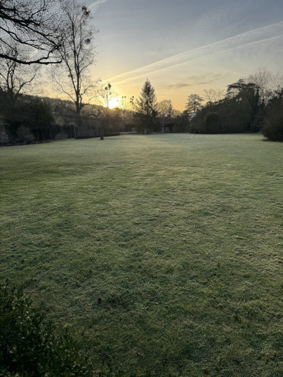 #gardenphotography #lawn #frostymorning