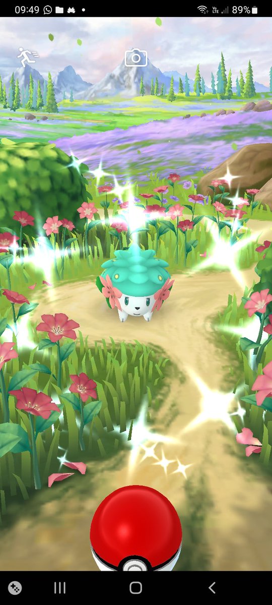 AlUzumaki's tweet image. FINALLY!!!✨🌺
3,000 Years later...🥲🤡🤩😶‍🌫
#MasterResearch #ShinyShaymin
#Shaymin 
#PokemonGo #SinnohTour #PokemonScarletViolet #PokemonDay #PokemonGOTour #ShinyPokemon #PoGo #PokemonGOTour2024 #PokemonGOApp #GoFest2024 #Paldea #Sinnoh