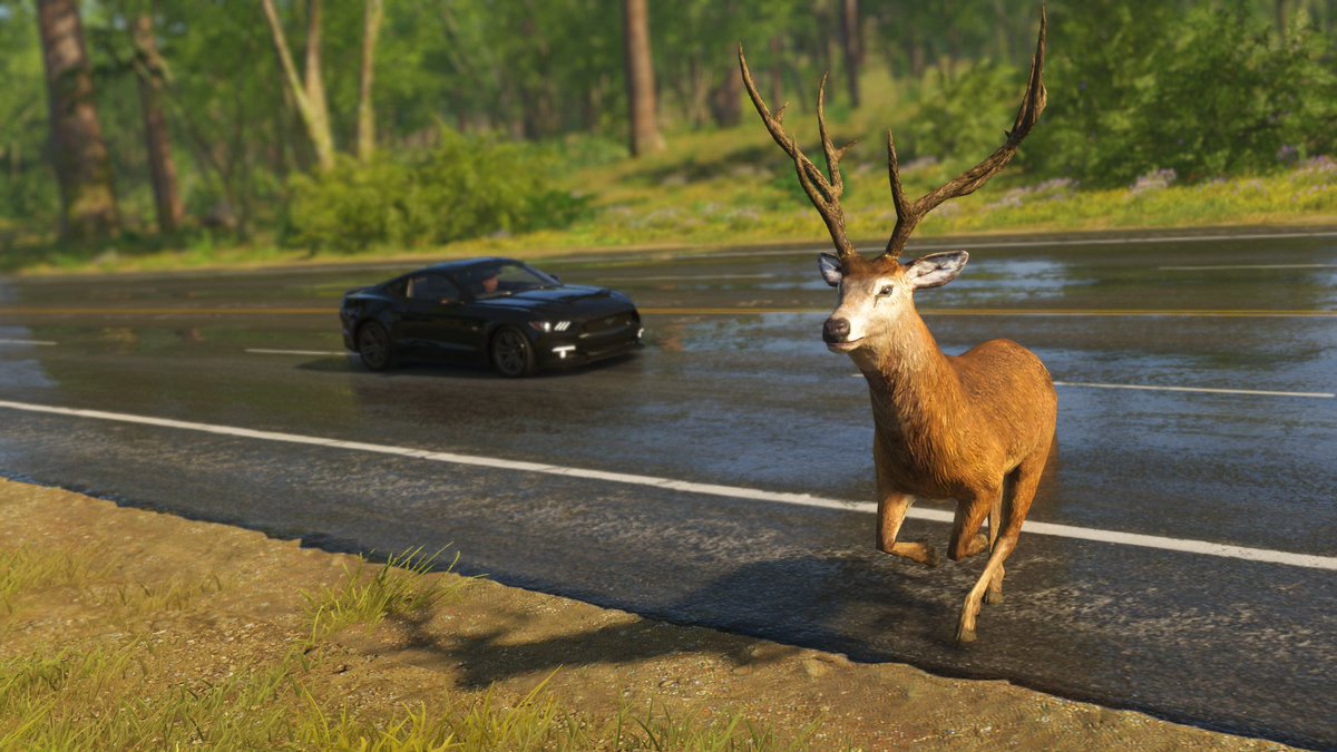 Beware of wildlife on the road 🎮 #TheCrew2 #VirtualPhotography #TheCapturedCollective #VGPUnite #VGPWednesday