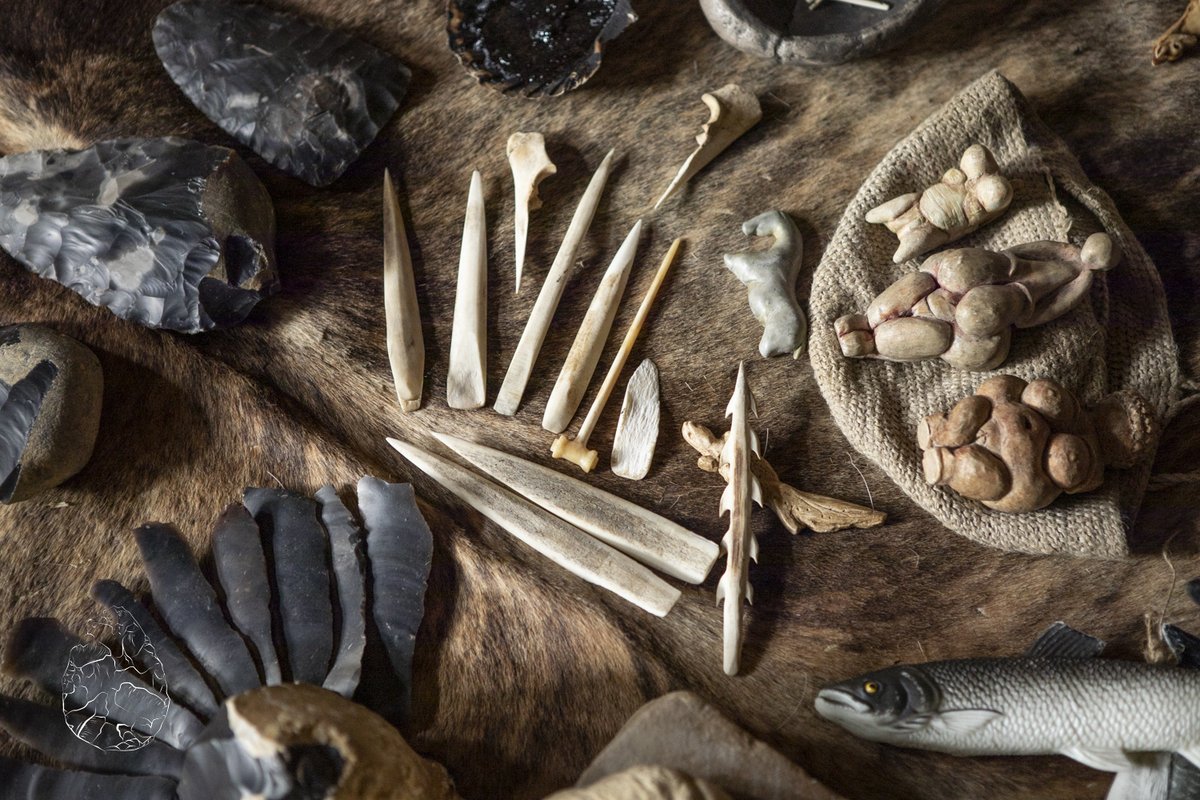 Join @emmalouwynjones, @sallypointer and I at @CreswellCrags from the 1st of August to try your hand at flintknapping, bone & antler working, jewellery making, textiles and sprang the Stone Age way! creswell-crags.org.uk/events-listings 📸@prehistoric_jewellery