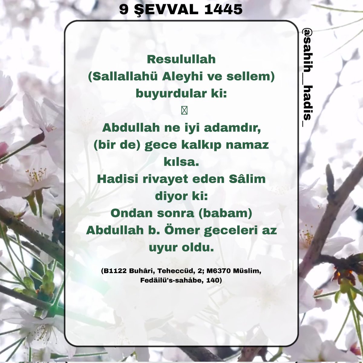 Resulullah (Sallallahü Aleyhi ve sellem) buyurdular ki: Abdullah ne iyi adamdır, (bir de) gece kalkıp namaz kılsa. Hadisi rivayet eden Sâlim diyor ki: Ondan sonra (babam) Abdullah b. Ömer geceleri az uyur oldu. (B1122 Buhâri, Teheccüd, 2; M6370 Müslim, Fedäilü's-sahåbe, 140)