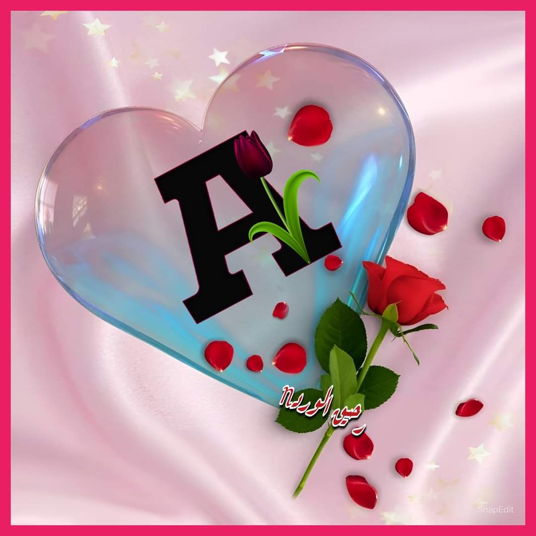 #loyal #AMY🅰️ @Alaayous3 @maha8321553 @Gigi46830095 @linaassil_assil @gazaaal66 @zahrat_lotas @AyO0008 @Liliylc @1BI1B @AlearabM61354 @adriana_dri25 @awaisaraza @Ozlerntr @hdn_na @FLOR4848 @Maridakkak @_ABM011 @pti_978 @mmdks9 @ehanalom @patry_moni @dr0lst0n @WALLI27…