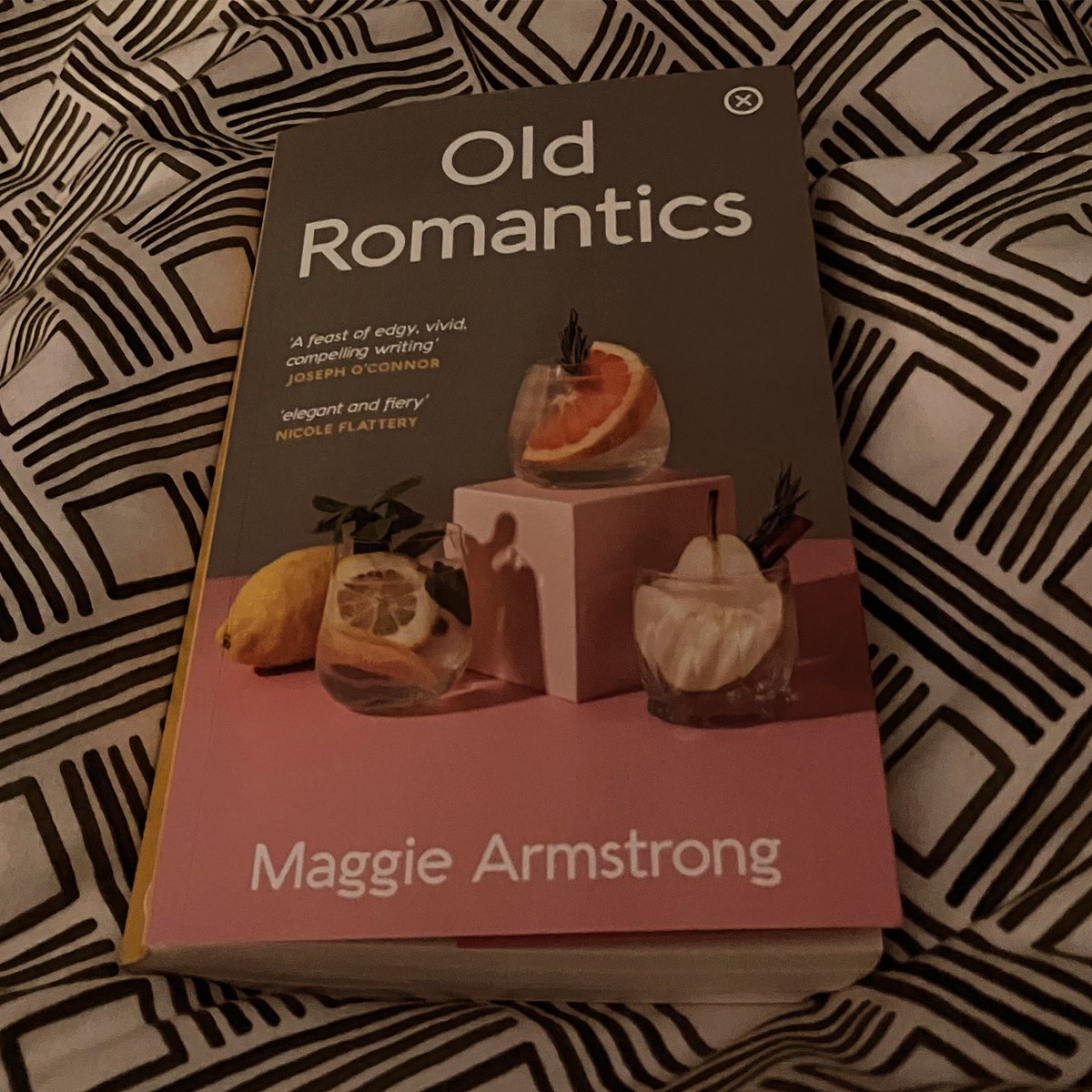 And while I’m on here shouting about great Irish writing, I absolutely devoured @MaggieStrongarm short story collection Old Romantics yesterday. Such careful, sometimes painful, frequently hilarious, always recognisable observations about humans in relationships.