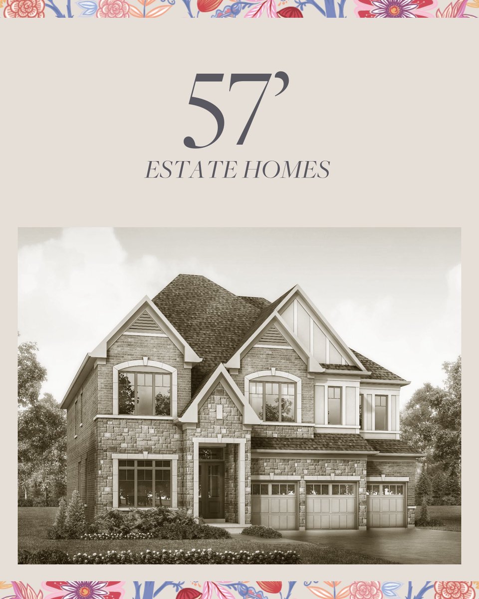 Treasure Hill tweet media