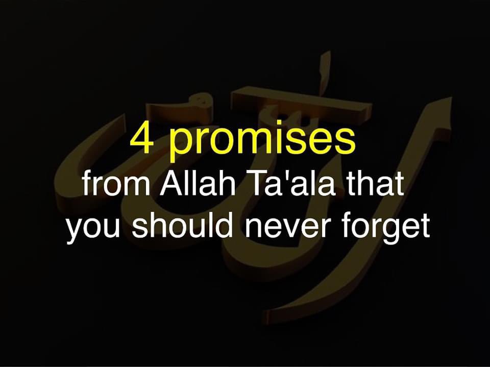 4 promises from Allah $PARAM $XPLUS @xplusio